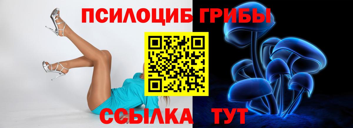 Псилоцибиновые грибы прущие грибы  купить закладку  Минеральные Воды  Вход с VPN 
